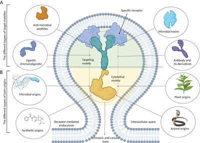 Bacteria-derived chimeric toxins as potential anticancer agents